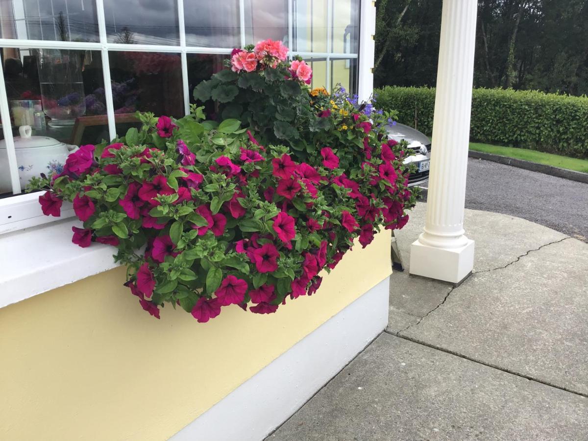 Oakfield Bed & Breakfast Kenmare Ngoại thất bức ảnh